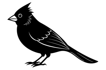 
Cardinal bird vector silhouette, cardinal bird animal black vector icon
