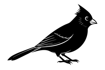 
Cardinal bird vector silhouette, cardinal bird animal black vector icon
