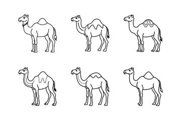 Camel line icon set. Icon of camel on a white background, set