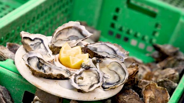 Fresh Oysters with Lemon in Basket