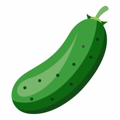A Fresh Cucumber Vector Illustration Celebrating Its Refreshing Flavor and Essential Garden Goodness





