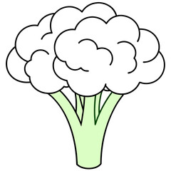 Vibrant Green Broccoli Head Vector Illustration for Freshness and Health
