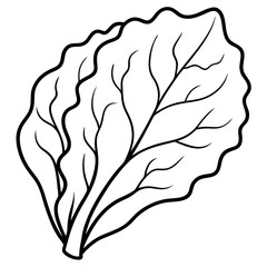 Vibrant Crisp Lettuce Leaf Vector Illustration Ideal for Salad Designs
