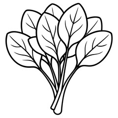 Beautiful vector illustration of a healthy bunch of fresh spinach leaves
