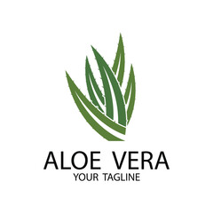 Aloe Vera Logo, Health Leaf Vector, Design Suitable For Beauty Salon, Organic Recycling, Skin Health Leaf