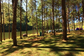 Public campsite at Huai Pang tong Reservoir at Pang Ung, Pang Tong Royal Development Project in Mae Hong Son, Thailand 