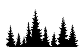 Fir trees silhouette. Coniferous spruce horizontal background pattern, black evergreen woods vector illustration. Beautiful hand drawn panorama of coniferous forest