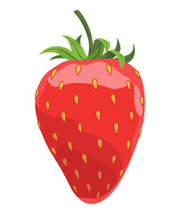 Fresh and Delicious Strawberry for Your Culinary Creations