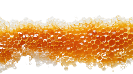 honeycombs on a transparent background