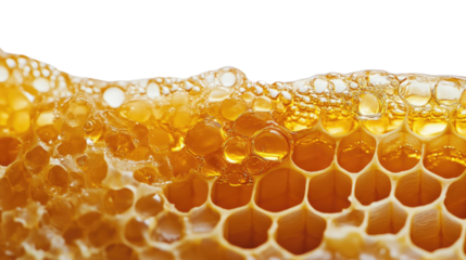 honeycombs on a transparent background