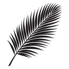 Obraz premium Leaf Silhouette Design - Plant leave vector illustration - Black Leaf Clipart 