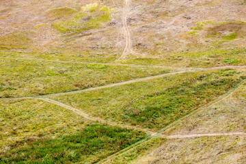 A field of grass with a few tracks in it
