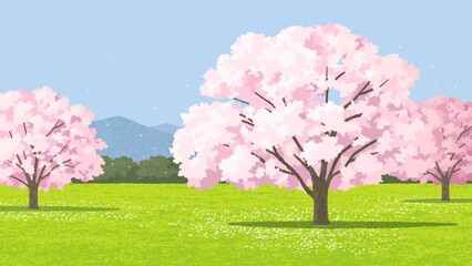 公園の桜 散り始め 背景山