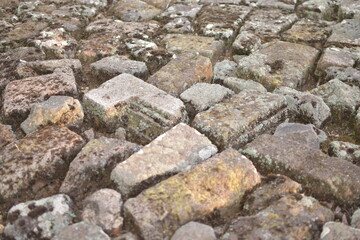 archaeological site of the Lurah temple on Mount Penanggungan