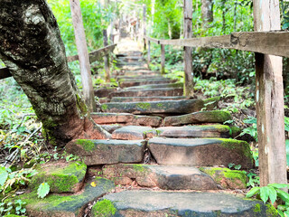 stone steps in the garden, stone staircase covered in green moss, nestled within a dense, lush forest. The pathway winds upwards, flanked by wooden rails and surrounded by vibrant vegetation