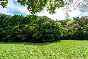 蓮ヶ池史跡公園 宮崎県宮崎市