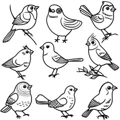 Fototapeta premium set of Cute bird on white background coloring page for kids. 