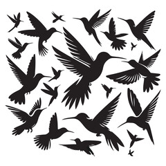 Birds silhouette