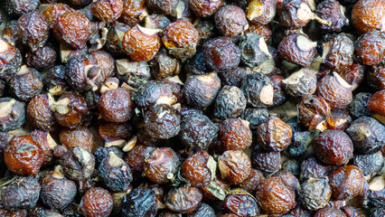 Sapindus rarak (Sapindus mukorossi, rerek, lamuran, Lerak). This fruit is made into a washing agent, a cleaner for various kitchen utensils, and soap.