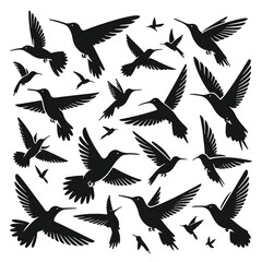 Birds silhouette