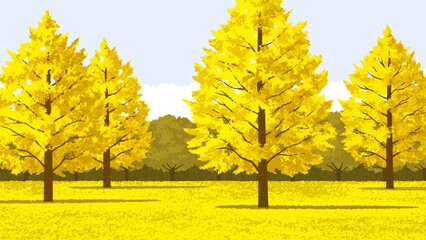 公園　イチョウの木  背景空