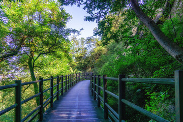 Fototapeta premium Walking trails in Seoul, South Korea