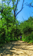 Walking trails in Seoul, South Korea