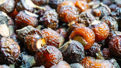 Sapindus rarak (Sapindus mukorossi, rerek, lamuran, Lerak). This fruit is made into a washing agent, a cleaner for various kitchen utensils, and soap.
