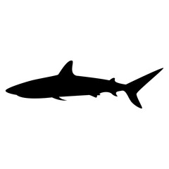 Shark Silhouette Vector