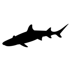 Shark Silhouette Vector
