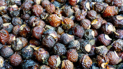 Sapindus rarak (Sapindus mukorossi, rerek, lamuran, Lerak). This fruit is made into a washing agent, a cleaner for various kitchen utensils, and soap.