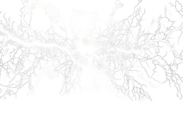 Abstract image depicting intricate fractal patterns resembling trees, ideal for artistic or design projects.