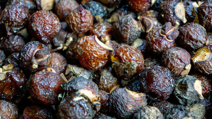 Sapindus rarak (Sapindus mukorossi, rerek, lamuran, Lerak). This fruit is made into a washing agent, a cleaner for various kitchen utensils, and soap.