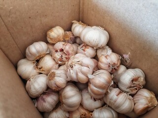 a box filled with garlic