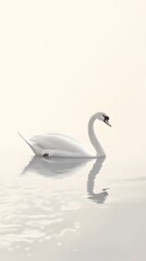 Obraz premium Elegant Swan Floating on Serene Monochrome Water Surface