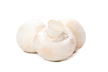 mushroom on white