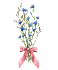 Wildflower bouquet with Field plant tied with a red bow. Blue chicory flowers with meadow green herbs and buds. Summer card floral clipart. Watercolor hand drawn illustration. Isolated from background