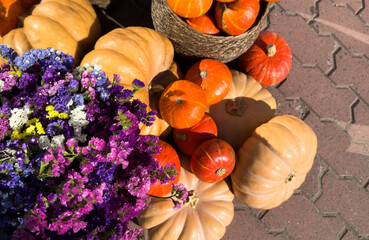 garden arrangement with pink autumn flowers, plants and pumpkins 
