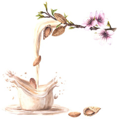 Flowing almond tree nut milk with milky splashes. Watercolor peeled and in shell nuts for yogurt, cream dairy. Plant based drink label. Vegetarian hand drawn healthy food design on isolated background