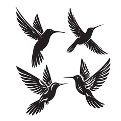 Birds silhouette