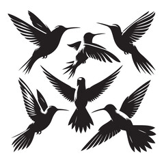 Birds silhouette