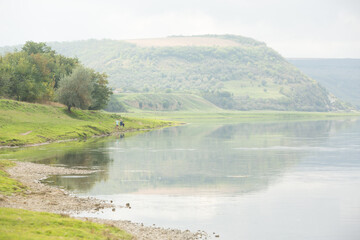 Beautiful rural landscape with green meadows and domestic animals in the Republic of Moldova. Country life with summer nature.