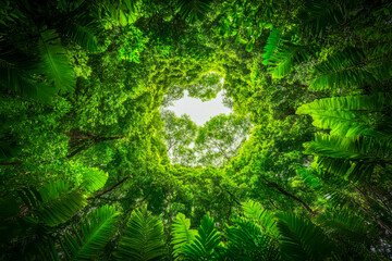 A forest with a large green tree in the center. The tree is surrounded by many other trees, creating a lush and vibrant atmosphere. Concept of peace and tranquility