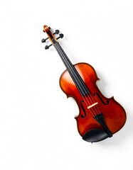 a beautiful violion on white background