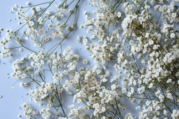 Fototapeta premium Minimalist Gypsophila Bouquet: A Festive Flat Lay in White for Female Celebration Decor