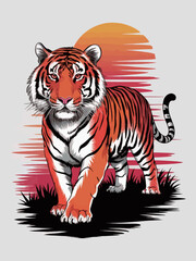 tiger on a white background