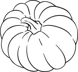 Pumpkin Fruits and Leaves Outline Illustration. Organic natural nutritional healthy food ingredient, vegetarian diet product.