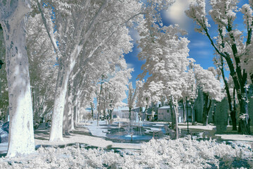 Photos taken with infrared technique