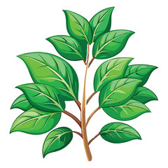 Green Leafy Plant Clipart Illustration