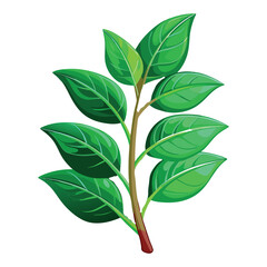 Vibrant green leaves on a brown stem isolated on a white background